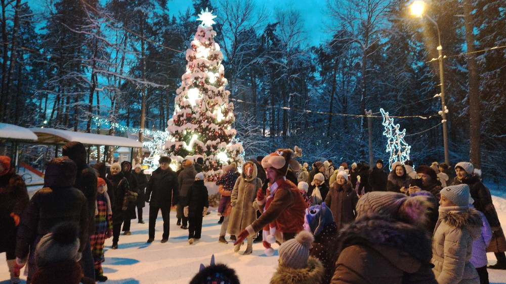 Новогодние праздники прошли в Городском парке