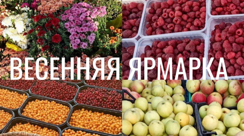 Очередная сельскохозяйственная ярмарка состоится 14 марта