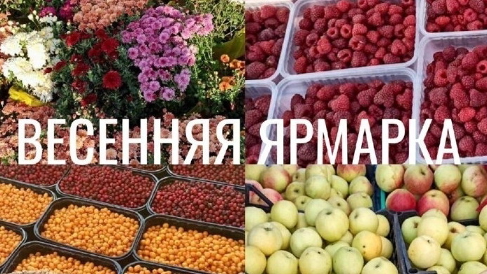 В Обнинске прошла сельскохозяйственная ярмарка