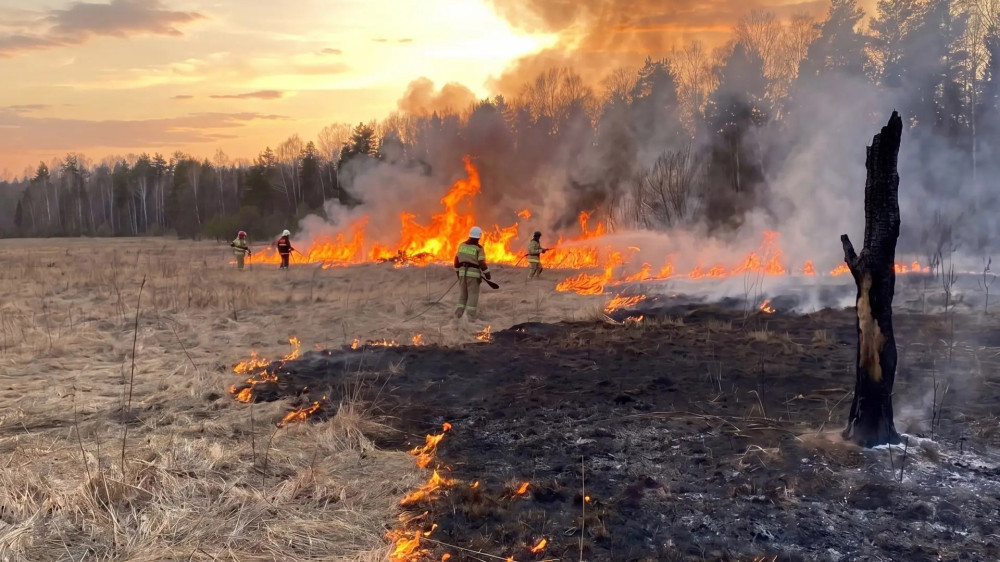 Пал травы = опасность